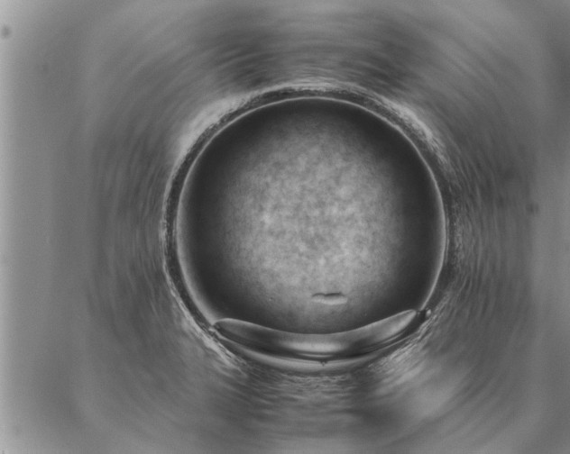 X0000087391327200704271612