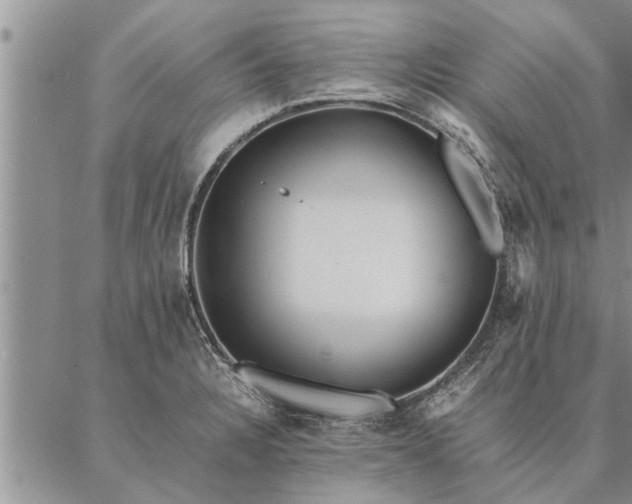 X0000087391328200704271612