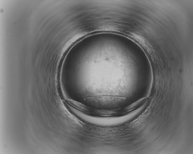 X0000087391331200704271612