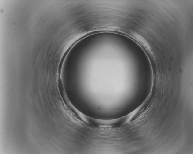 X0000087391332200704271612