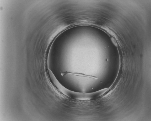 X0000087391333200704271612