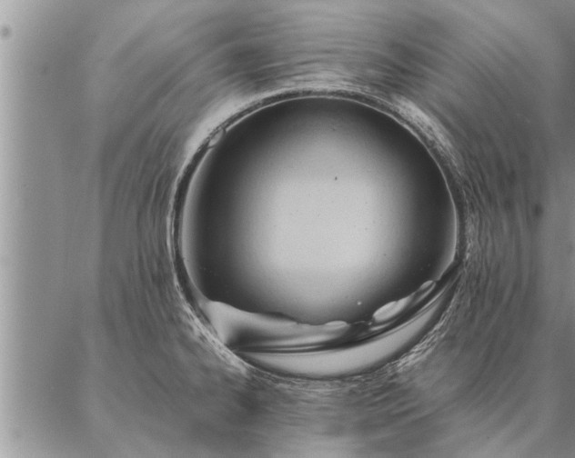 X0000087391334200704271612