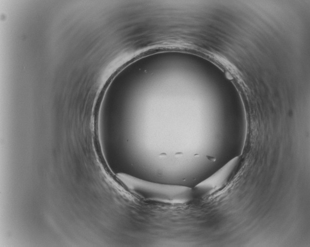 X0000087391335200704271612