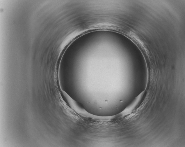 X0000087391336200704271613