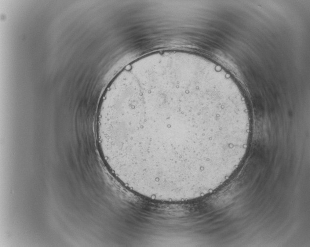 X0000087391338200704271613