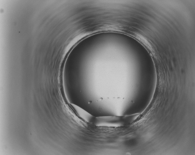 X0000087391339200704271613