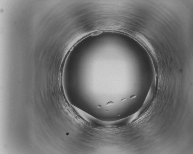 X0000087391340200704271613