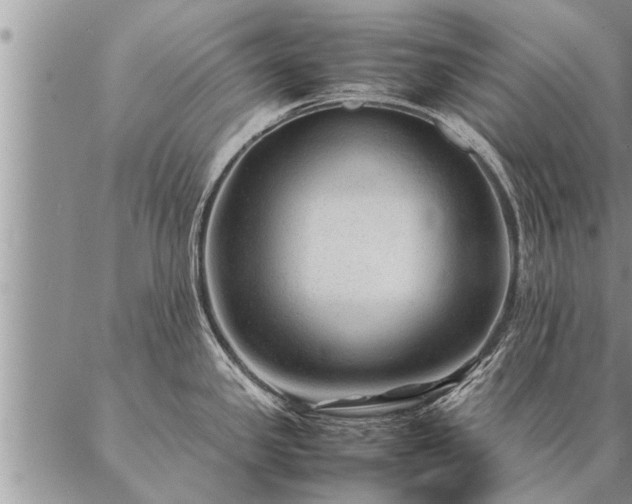 X0000087391341200704271613