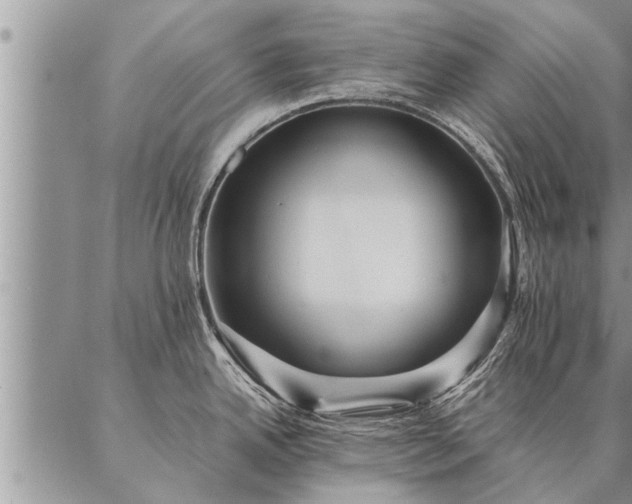 X0000087391342200704271613