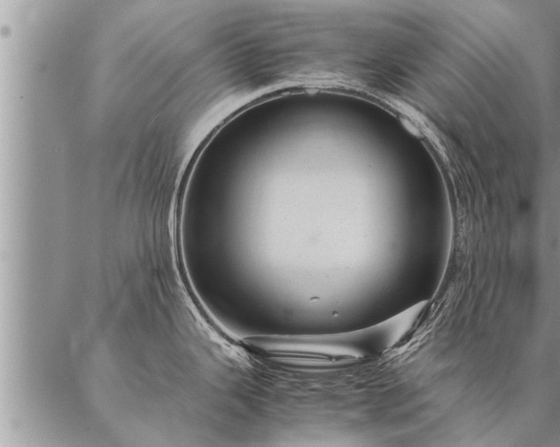 X0000087391343200704271613