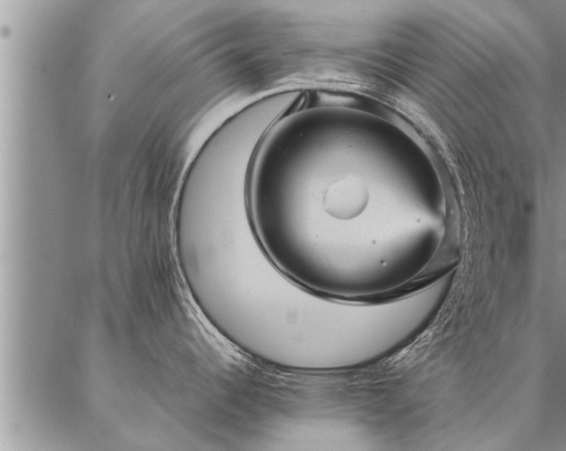 X0000087391344200704271613