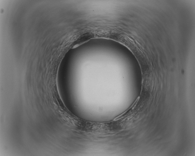 X0000087391345200704271612