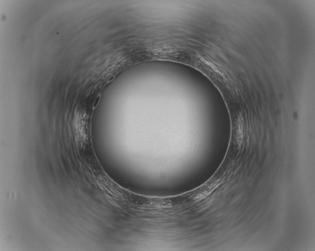 X0000087391346200704271612