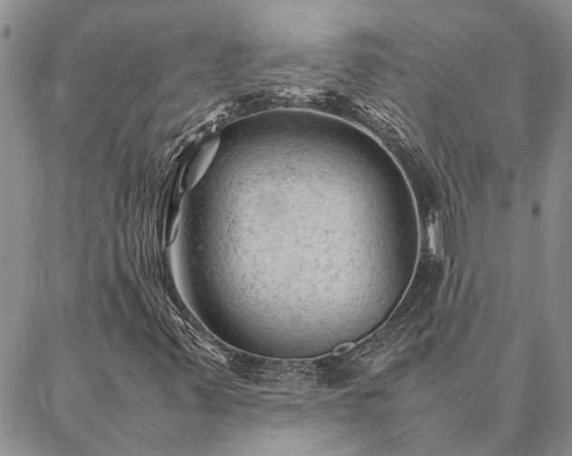 X0000087391347200704271612