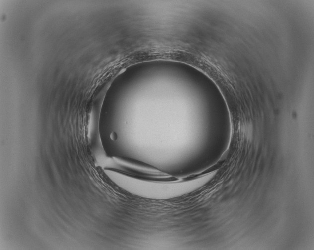 X0000087391348200704271612