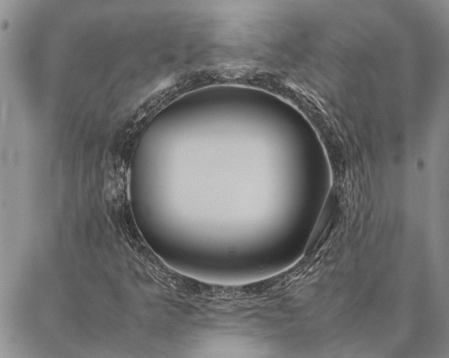 X0000087391349200704271612