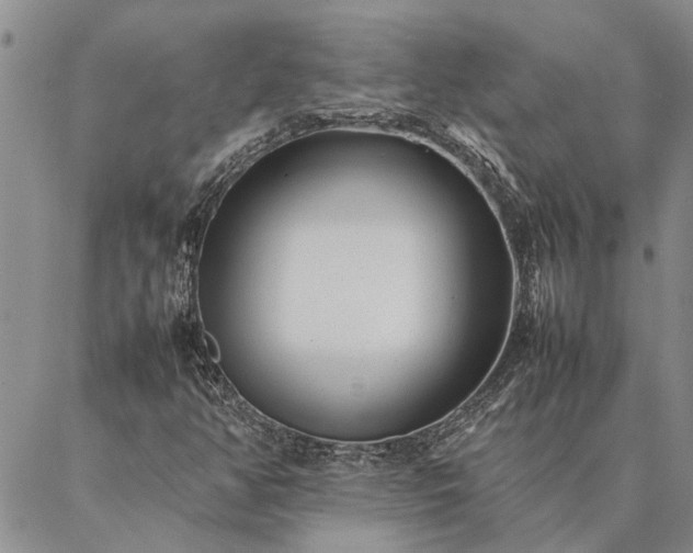 X0000087391350200704271612