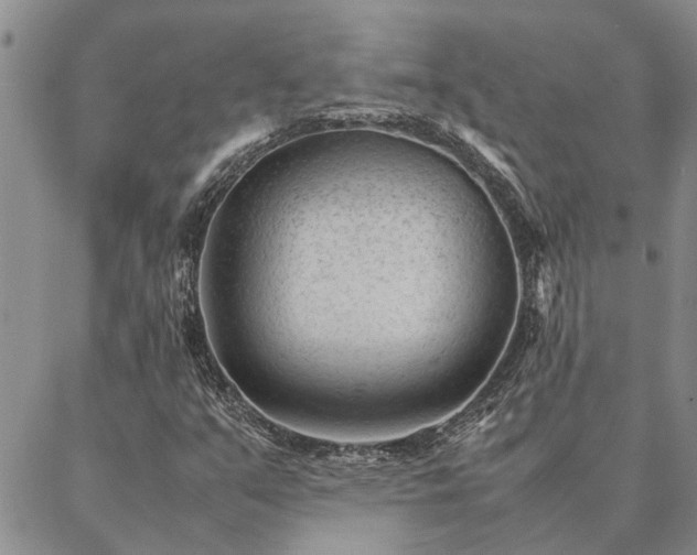 X0000087391351200704271612