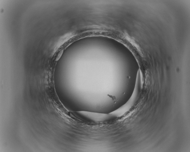 X0000087391352200704271612