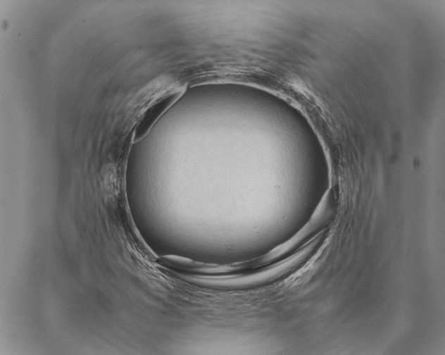 X0000087391353200704271612