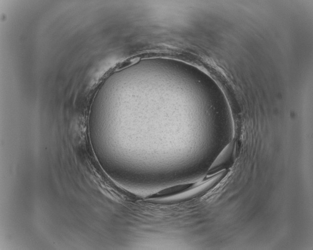 X0000087391355200704271612