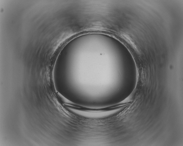 X0000087391356200704271612