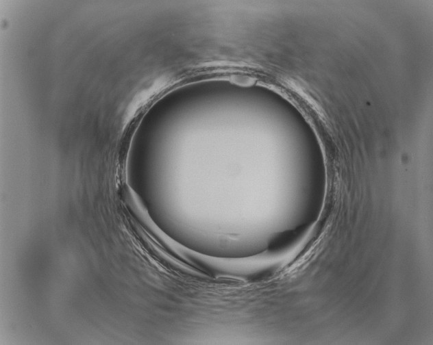 X0000087391357200704271612