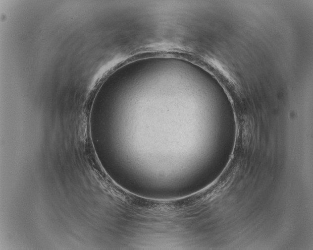 X0000087391358200704271612