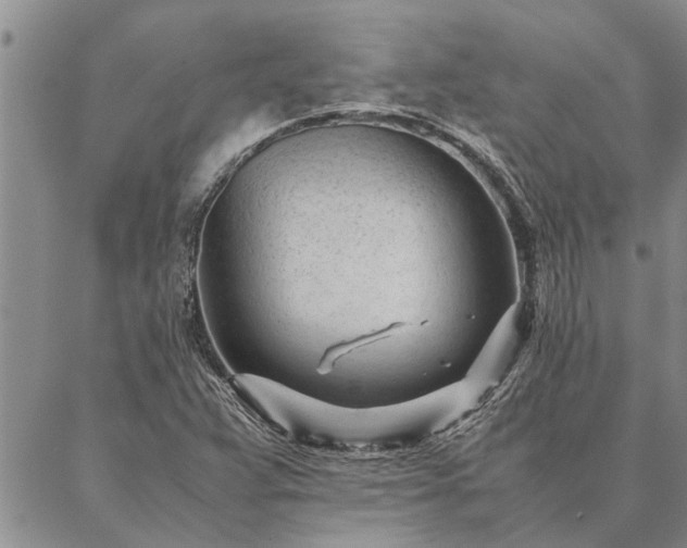 X0000087391359200704271612