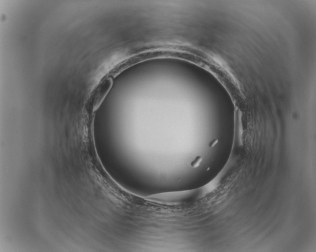 X0000087391360200704271612