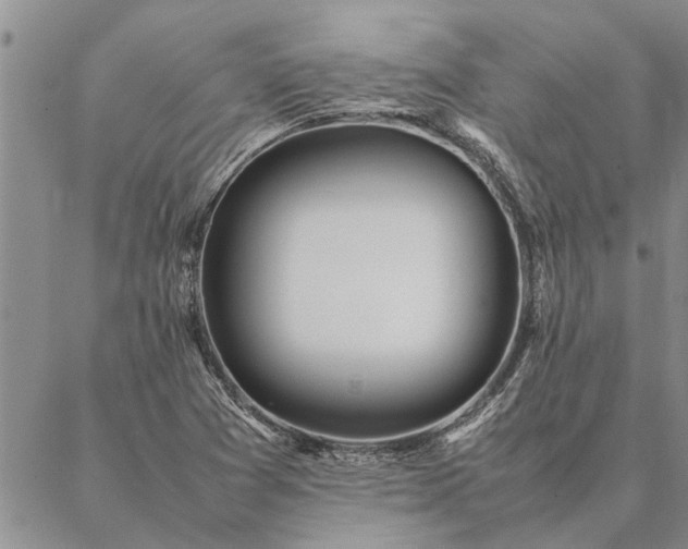 X0000087391361200704271612