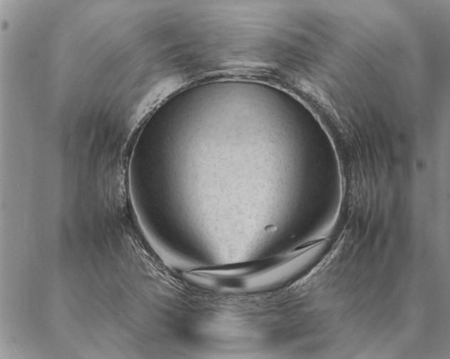 X0000087391362200704271612