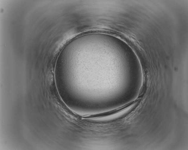 X0000087391363200704271612