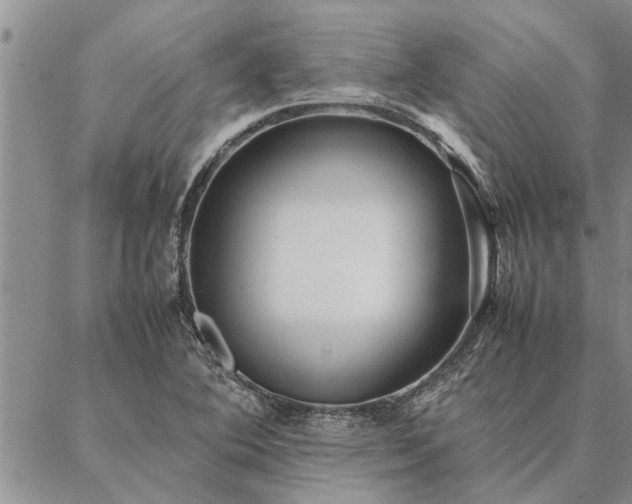 X0000087391364200704271612