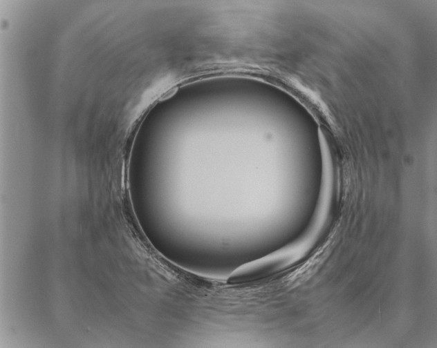 X0000087391365200704271612