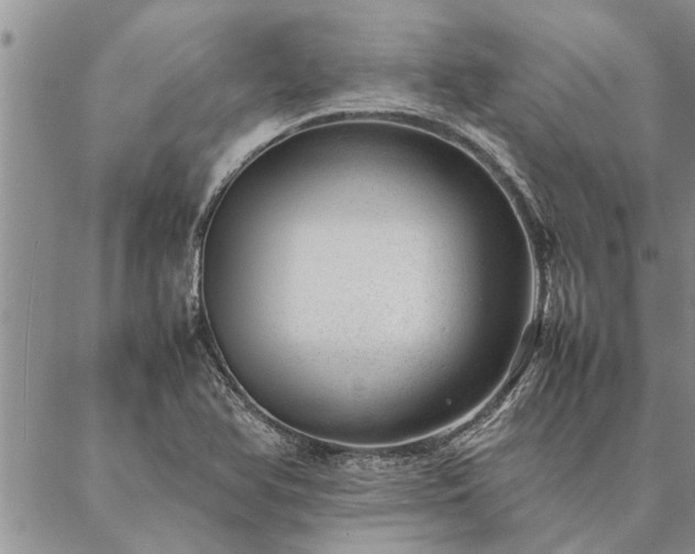 X0000087391366200704271612