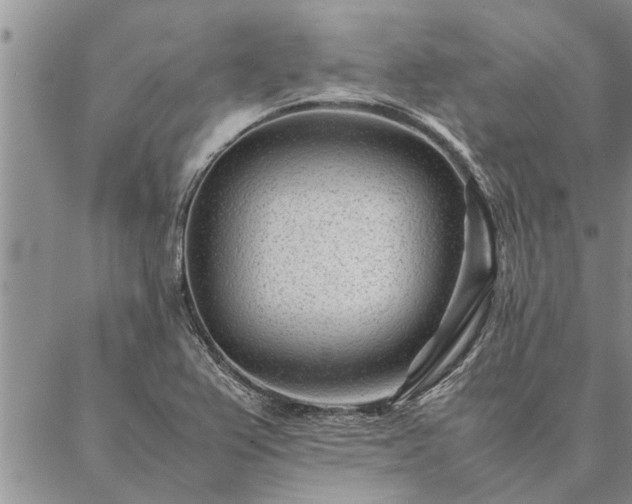 X0000087391367200704271611