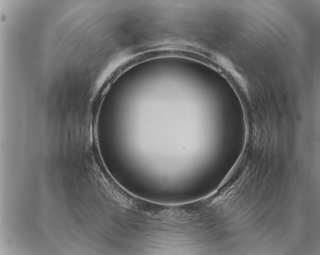 X0000087391368200704271611