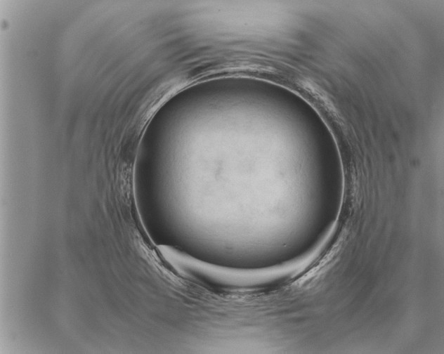 X0000087391369200704271611