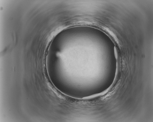 X0000087391373200704271611