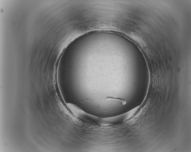 X0000087391374200704271611