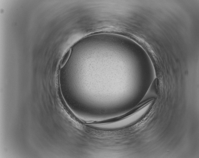 X0000087391375200704271611