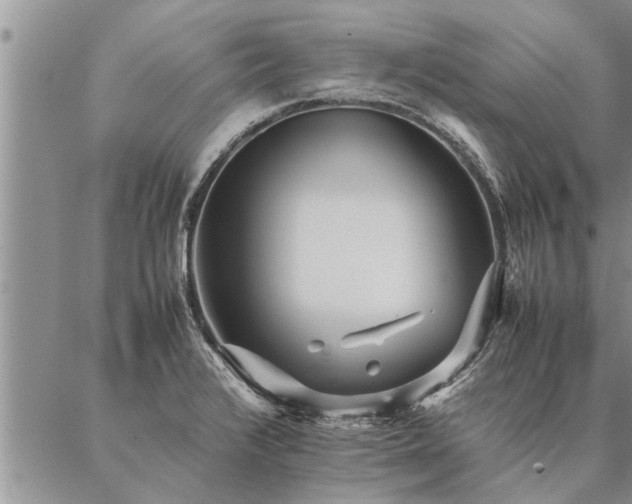 X0000087391376200704271611