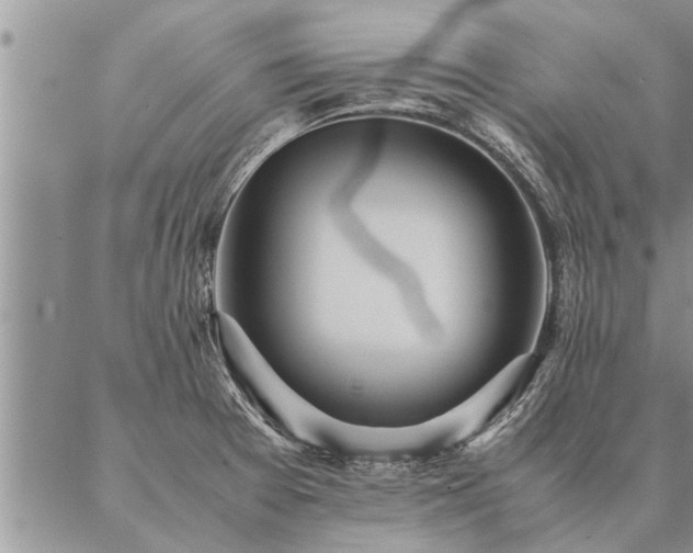 X0000087391377200704271611