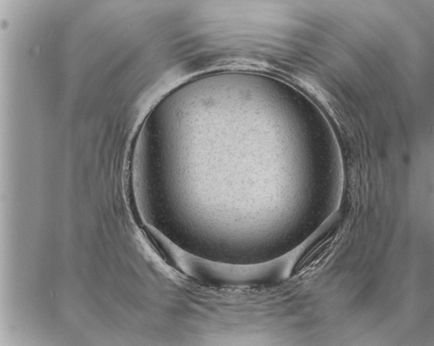 X0000087391379200704271611