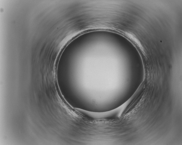 X0000087391380200704271611