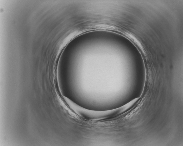 X0000087391381200704271611