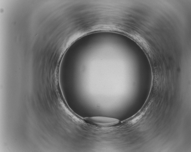 X0000087391382200704271611