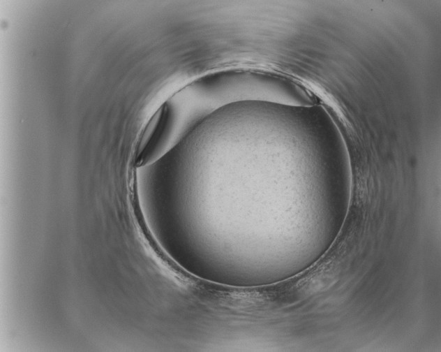 X0000087391383200704271611