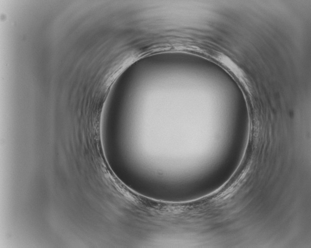 X0000087391385200704271611